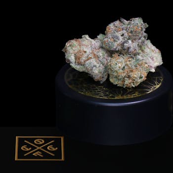 COTC - Morello Kush - 3.5g (No Additional Discount)
